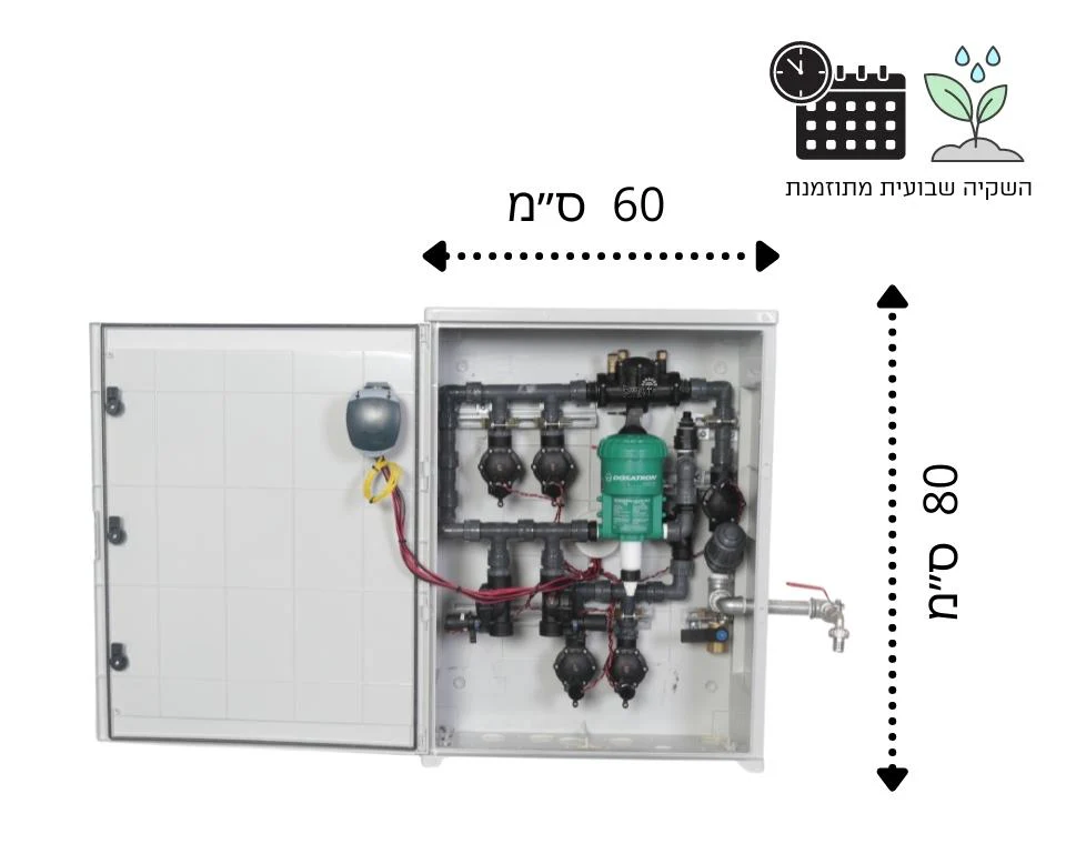 תמונה ממוזערת 2