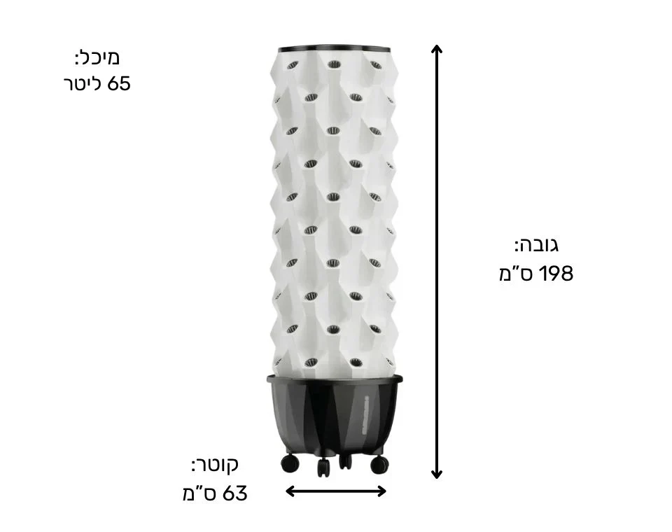 תמונה ממוזערת 2