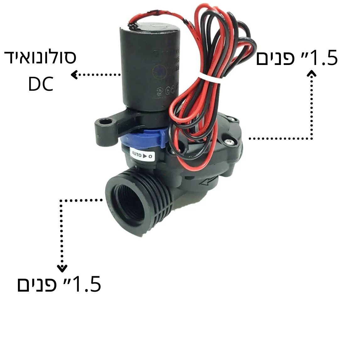 תמונה ממוזערת 2