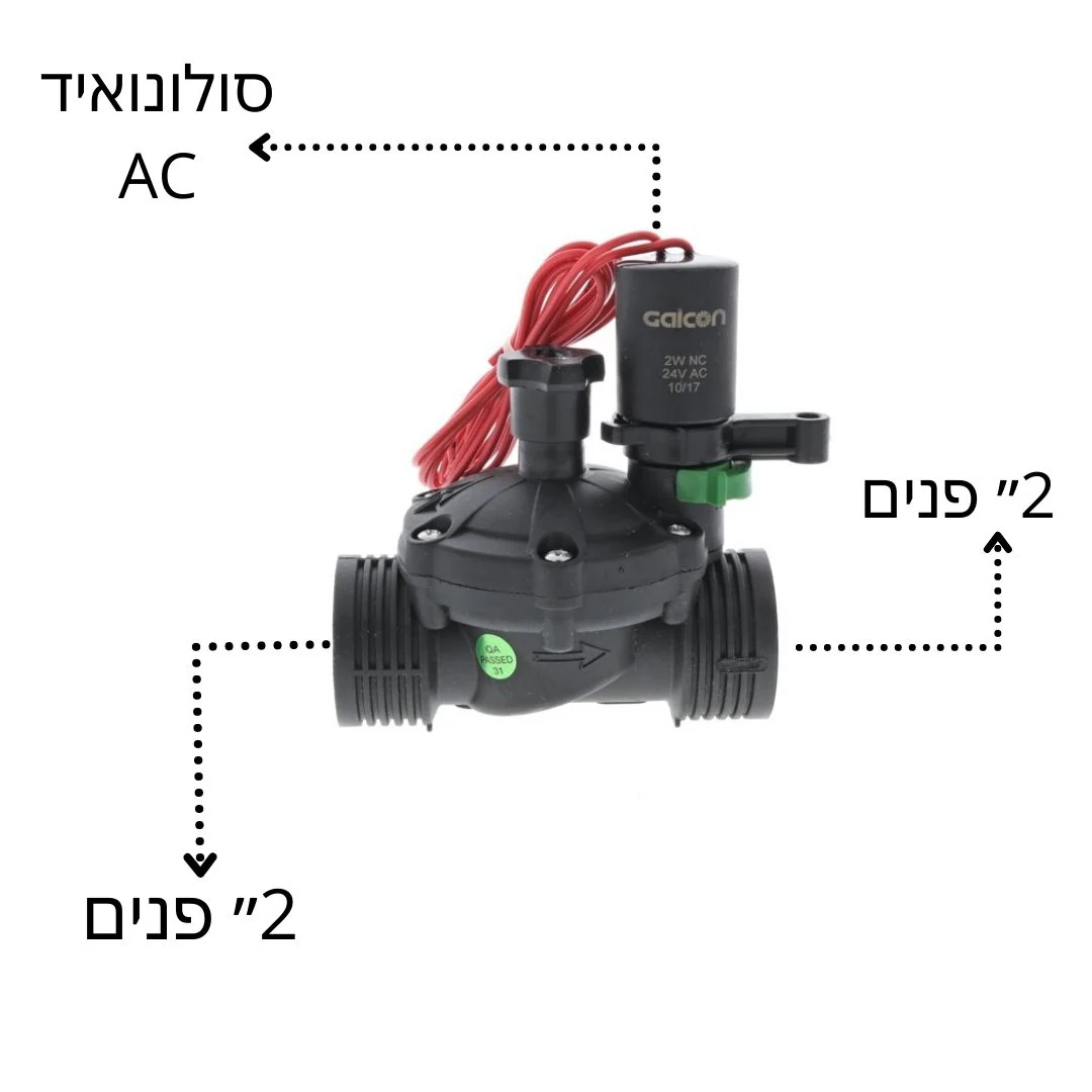 תמונה ממוזערת 2