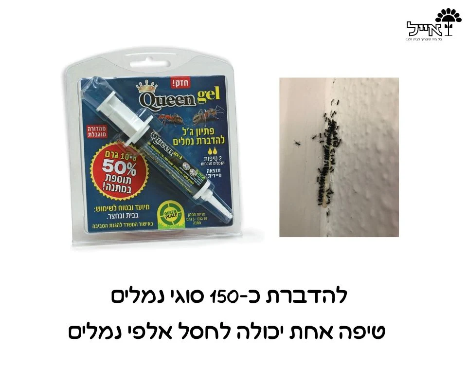 תמונה ממוזערת 2
