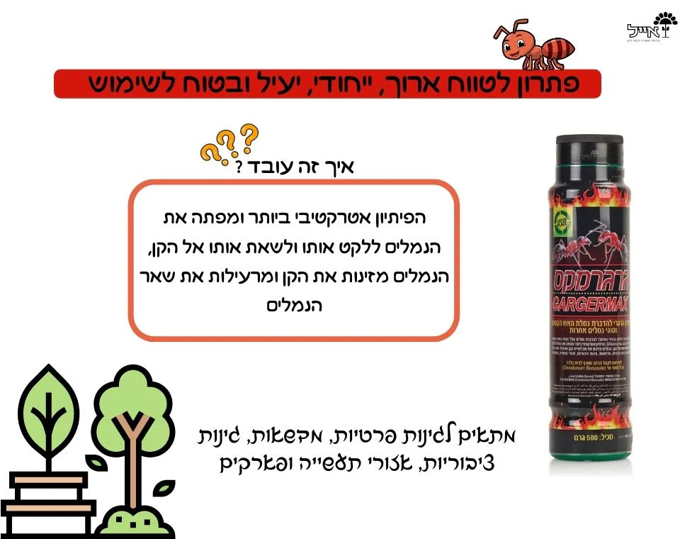 תמונה ממוזערת 2