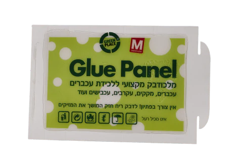 תמונה ממוזערת 1