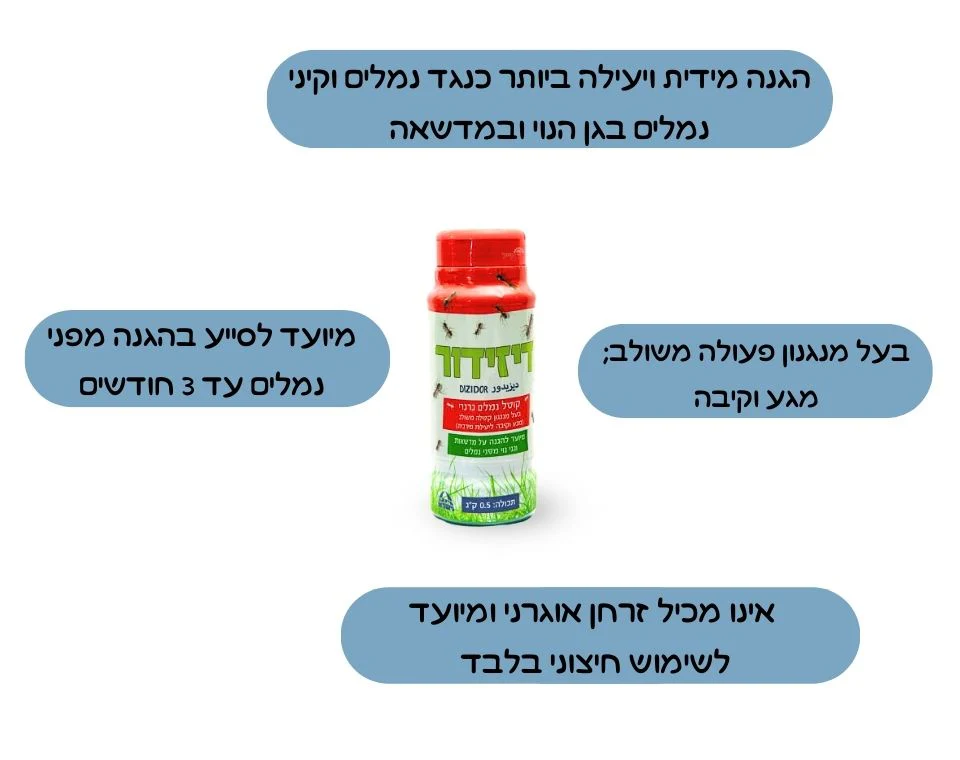 תמונה ממוזערת 2