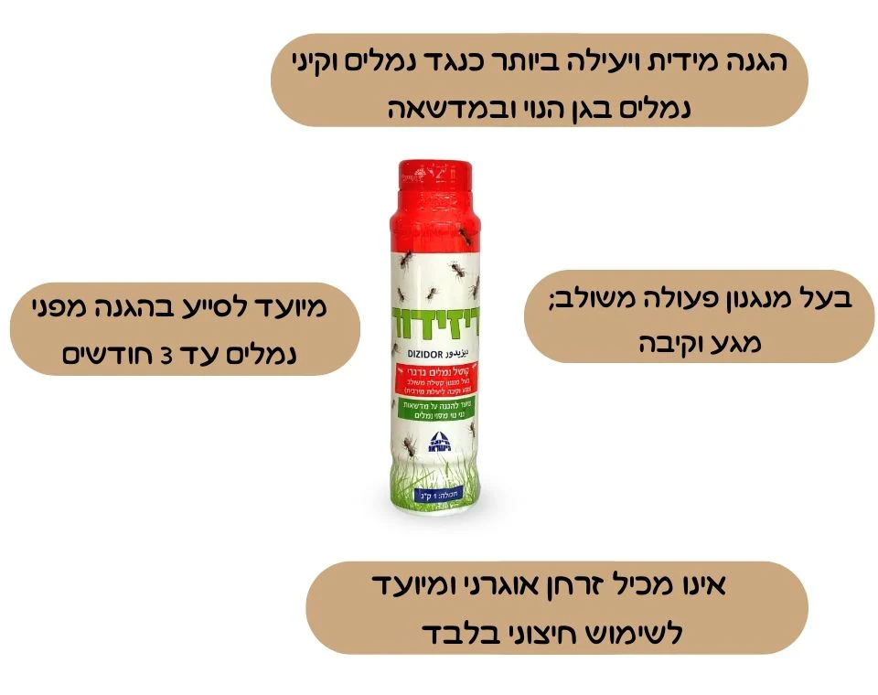 תמונה ממוזערת 2
