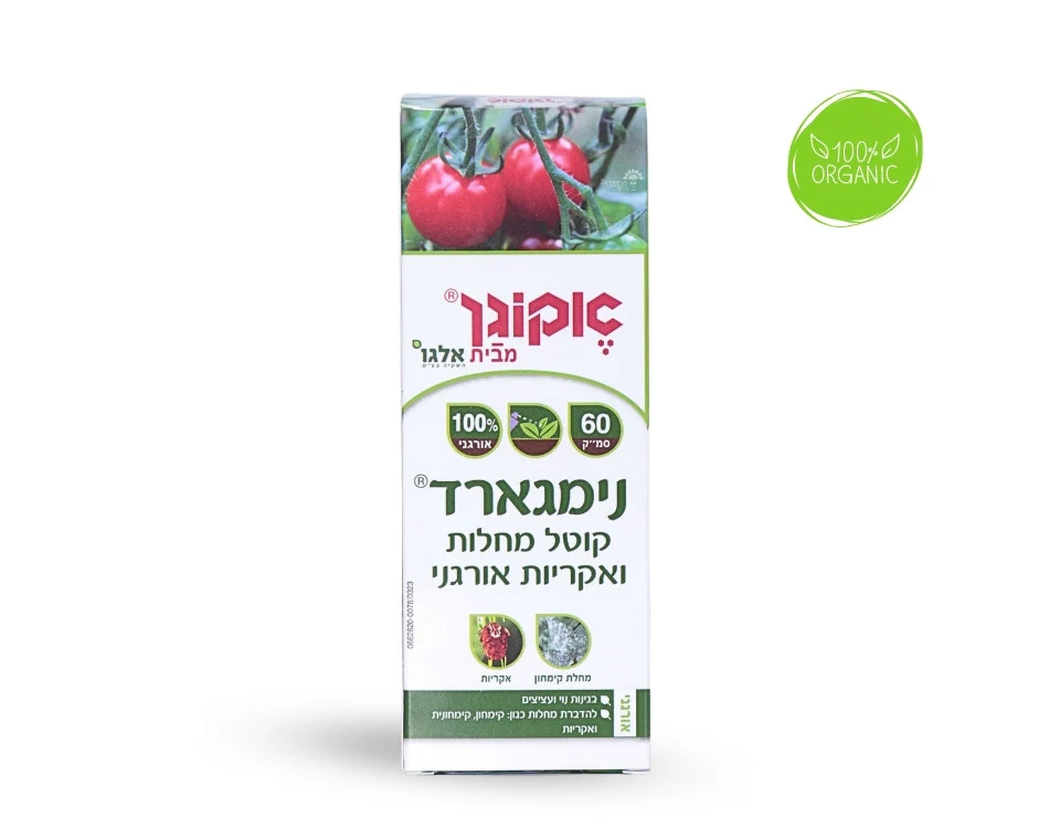 תמונה ממוזערת 1