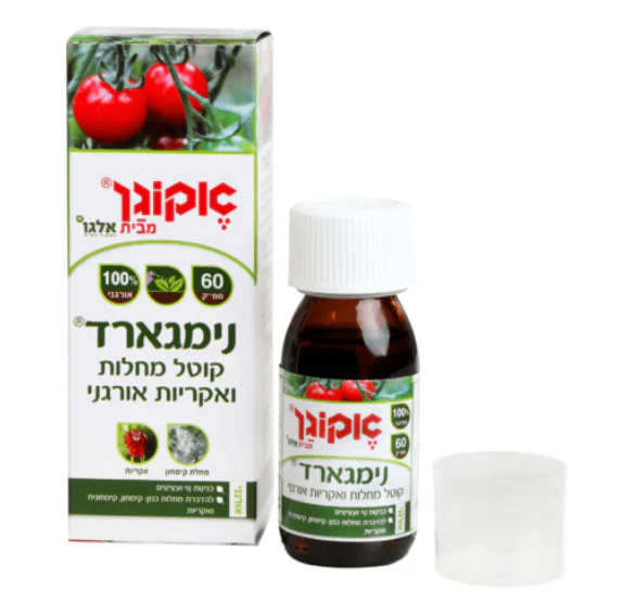 תמונה ממוזערת 2