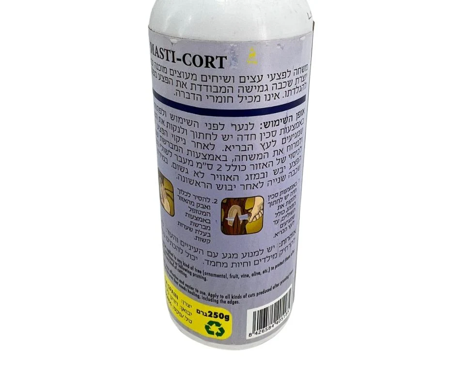 תמונה ממוזערת 2