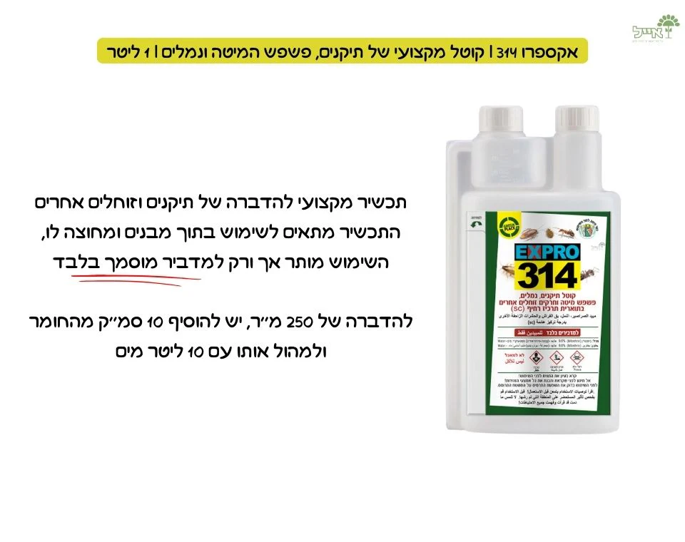 תמונה ממוזערת 2