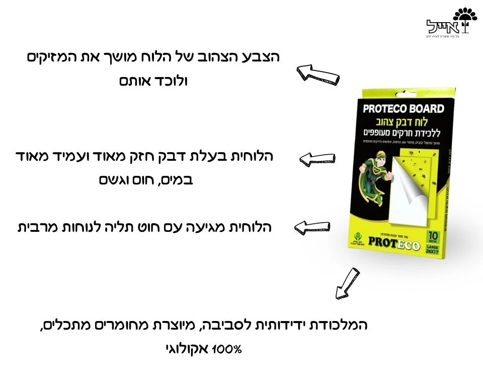 תמונה ממוזערת 2