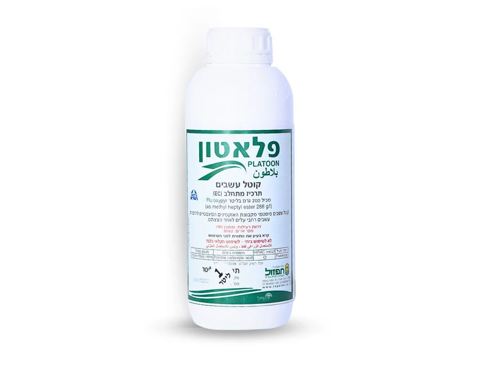 תמונה ממוזערת 1