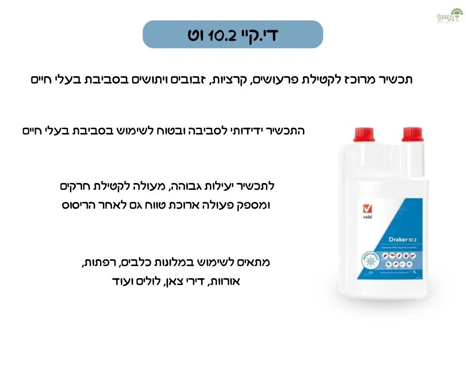 תמונה ממוזערת 2