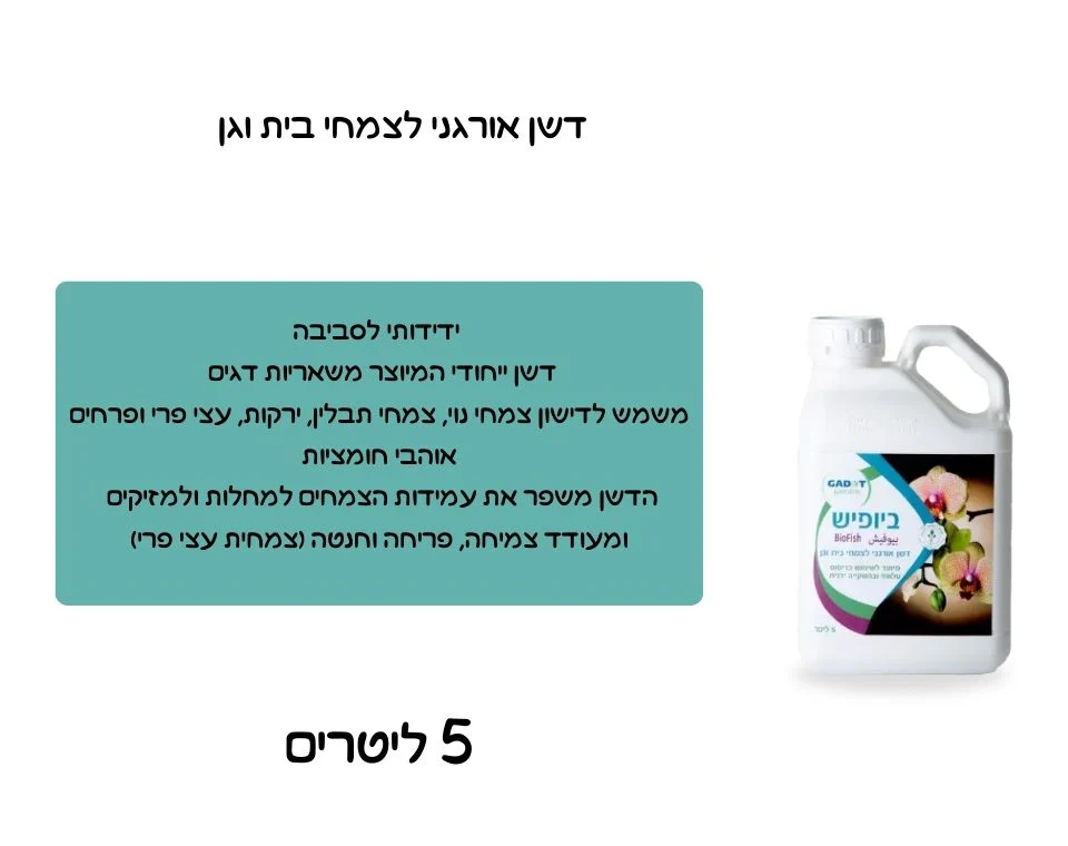 תמונה ממוזערת 2
