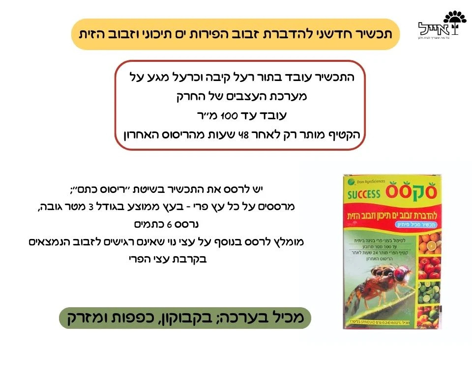 תמונה ממוזערת 2