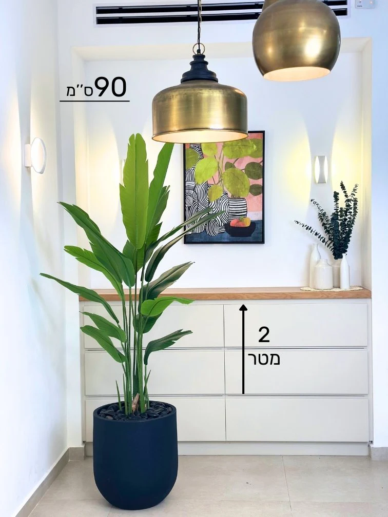 תמונה ממוזערת 2