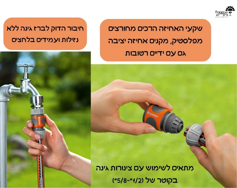 תמונה ממוזערת 2