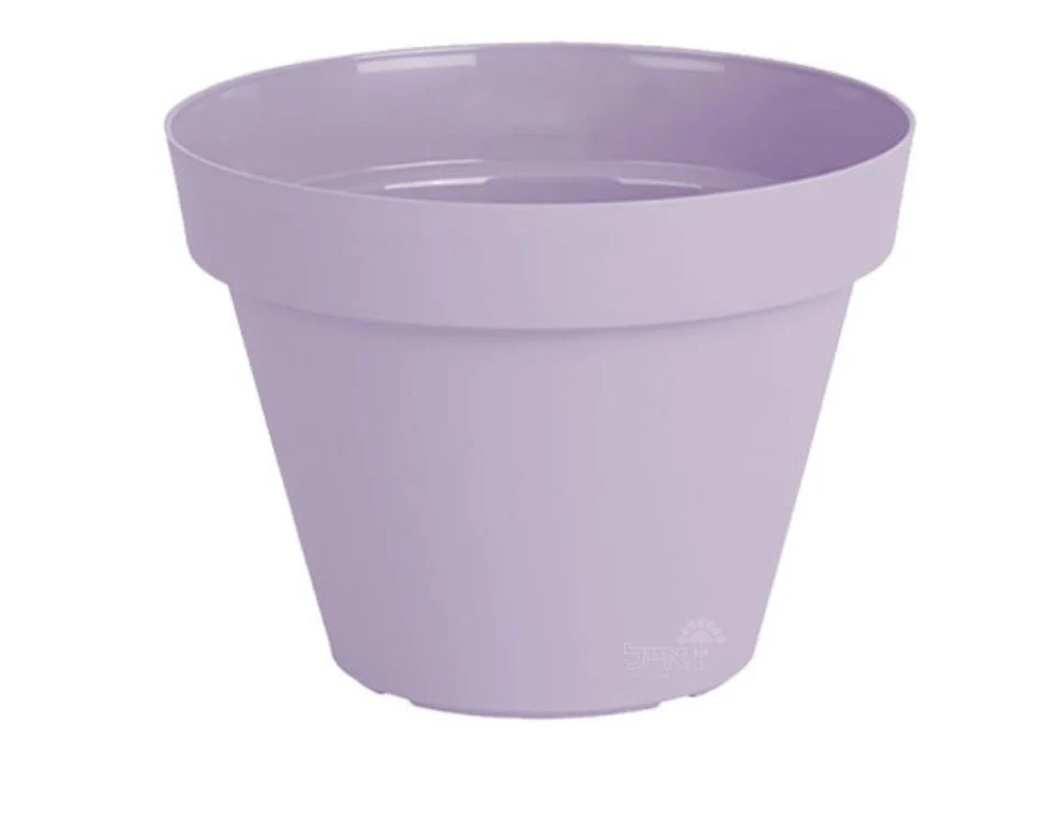 תמונה ממוזערת 1