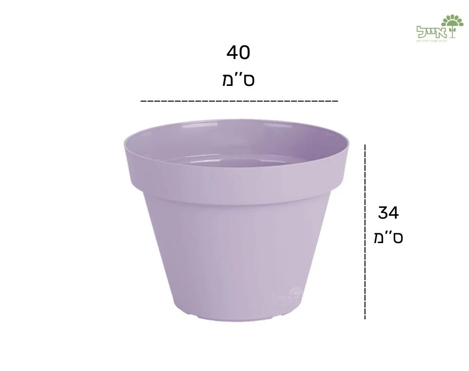 תמונה ממוזערת 2