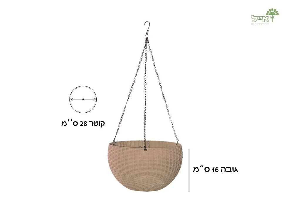 תמונה ממוזערת 2
