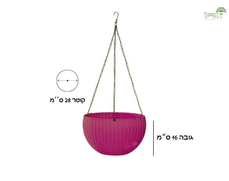 תמונה ממוזערת 2