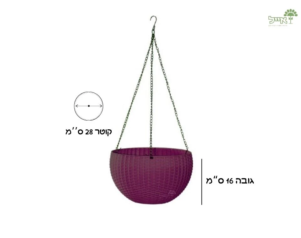 תמונה ממוזערת 2