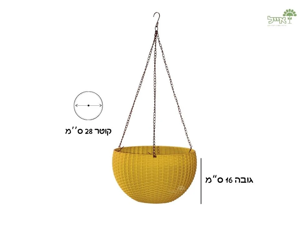 תמונה ממוזערת 2