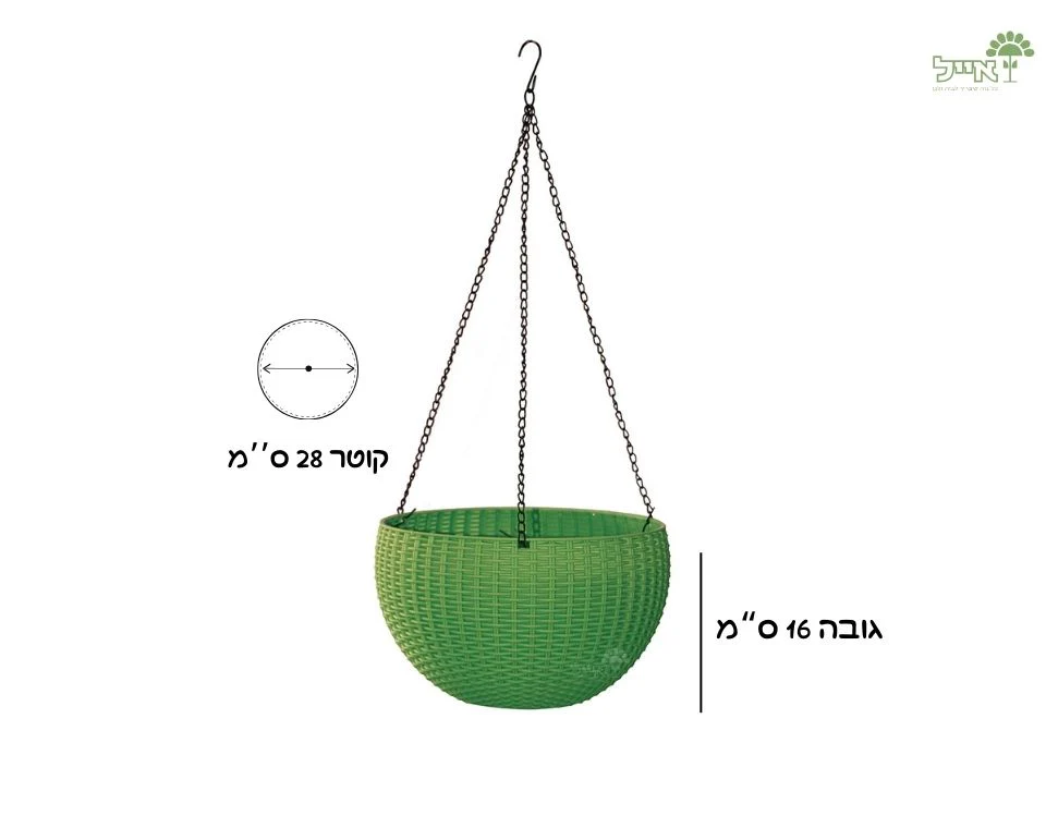 תמונה ממוזערת 2