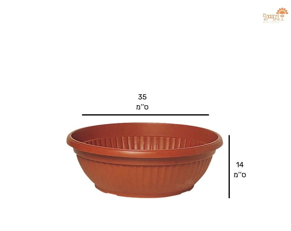 תמונה ממוזערת 2