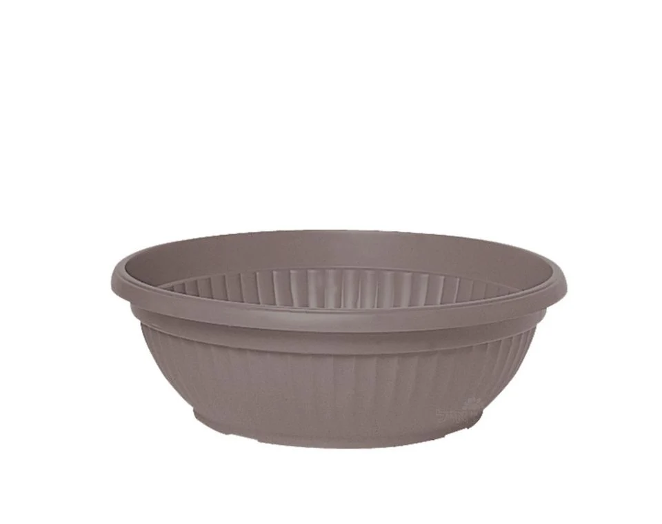 תמונה ממוזערת 1
