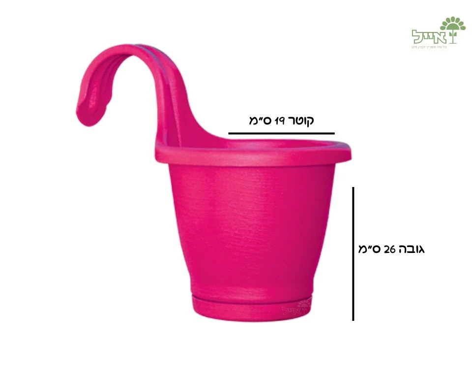תמונה ממוזערת 2