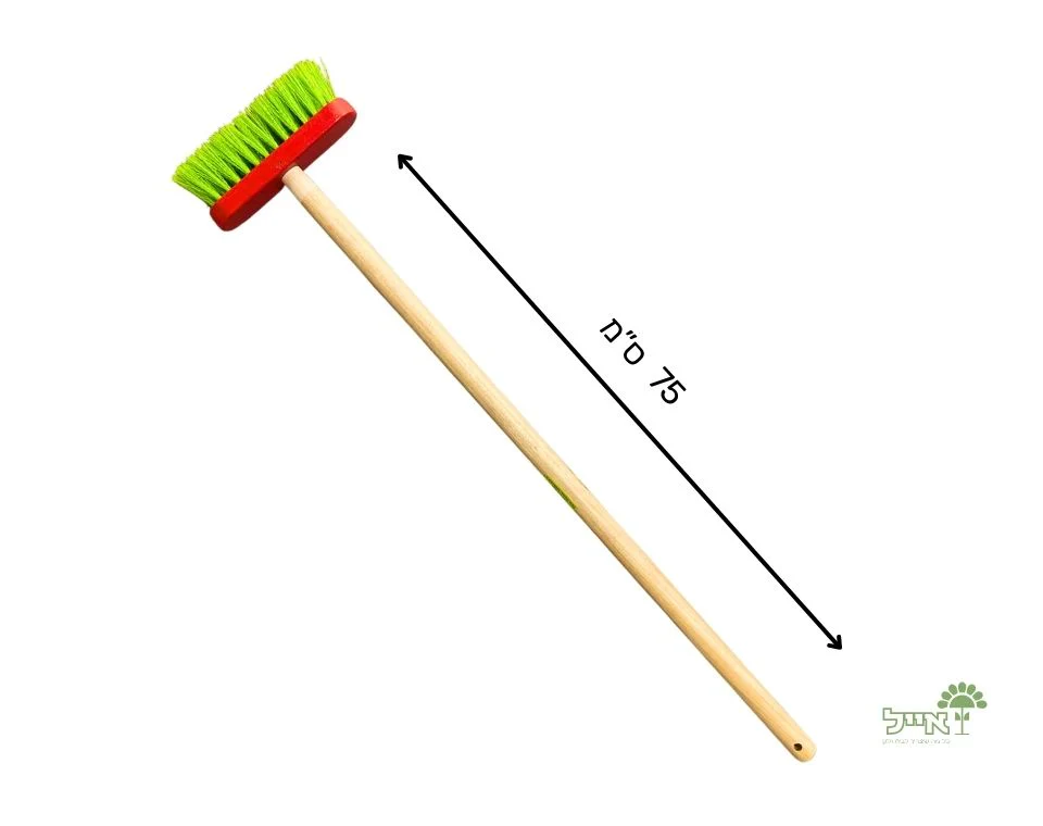 תמונה ממוזערת 2