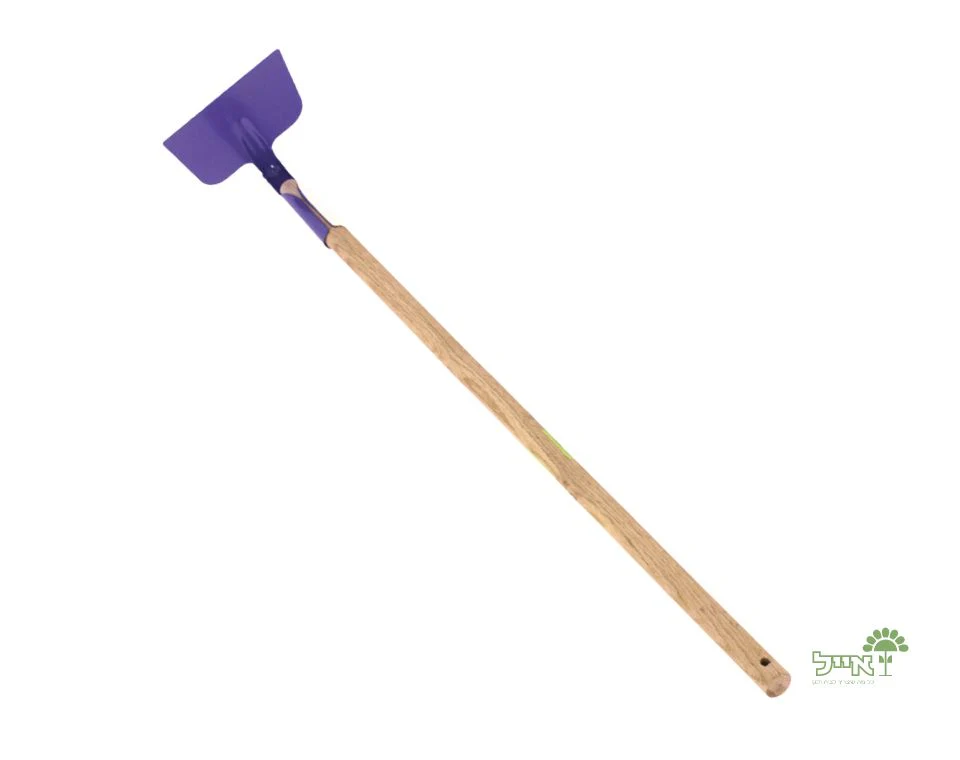 תמונה ממוזערת 1