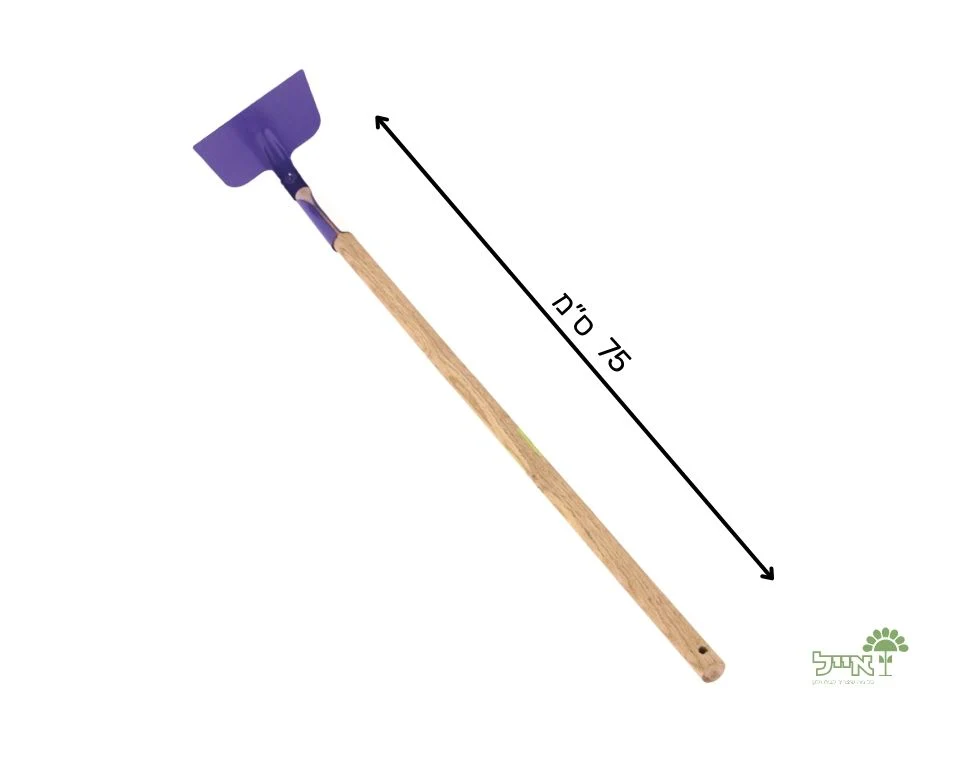 תמונה ממוזערת 2