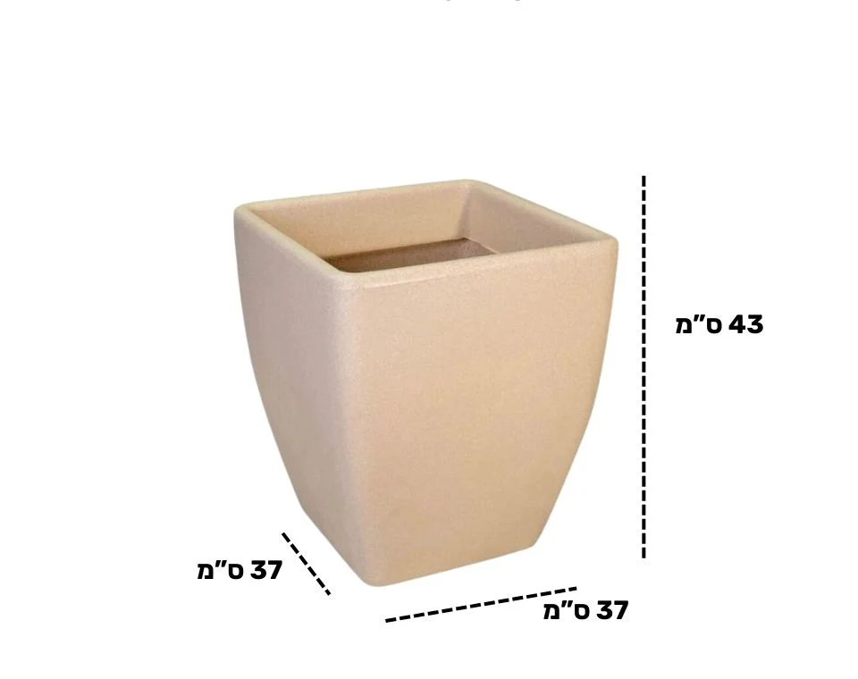 תמונה ממוזערת 2
