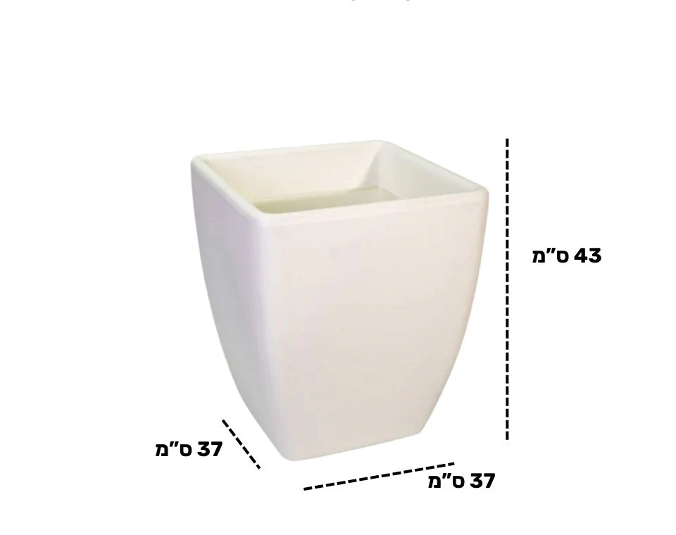 תמונה ממוזערת 2