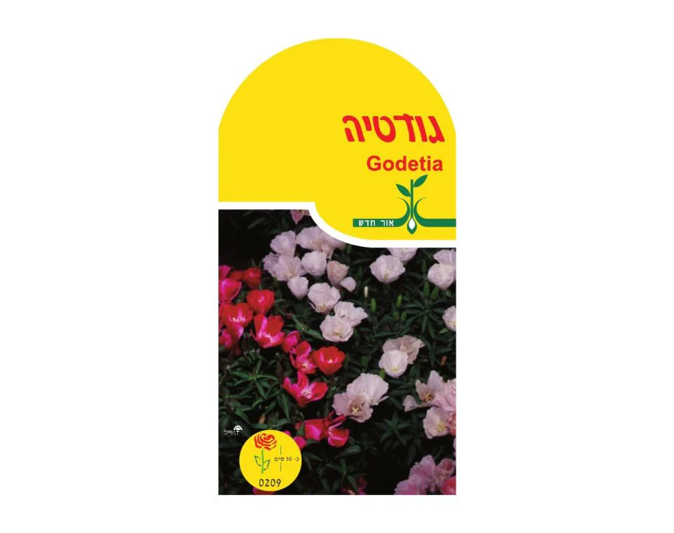 תמונה ממוזערת 1