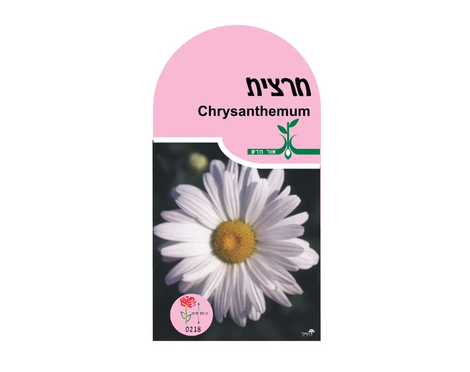 תמונה ממוזערת 1
