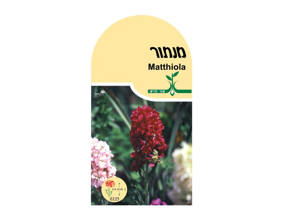 תמונה ממוזערת 1