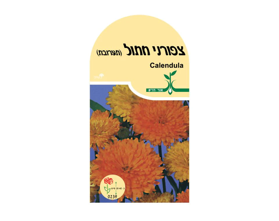 תמונה ממוזערת 1