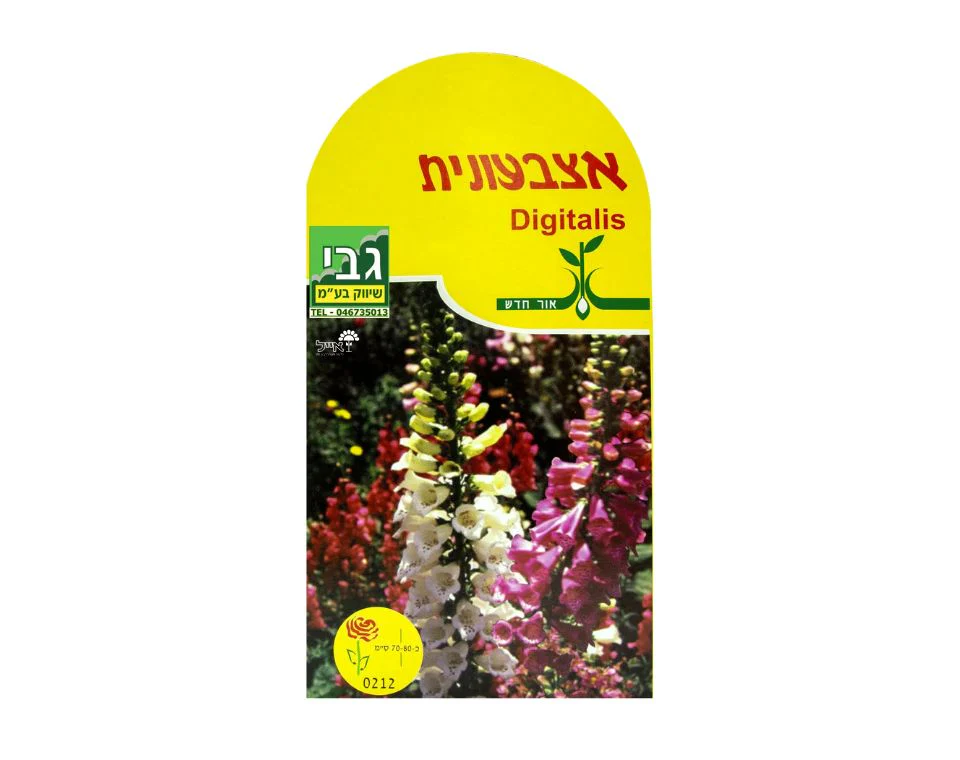 תמונה ממוזערת 1