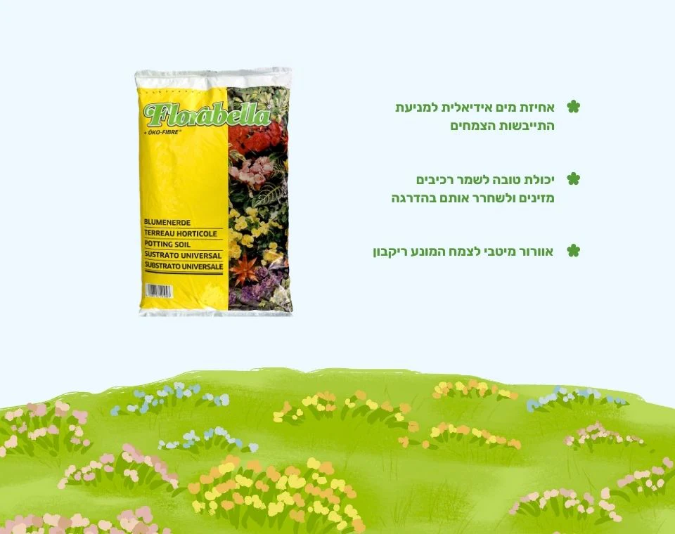 תמונה ממוזערת 2