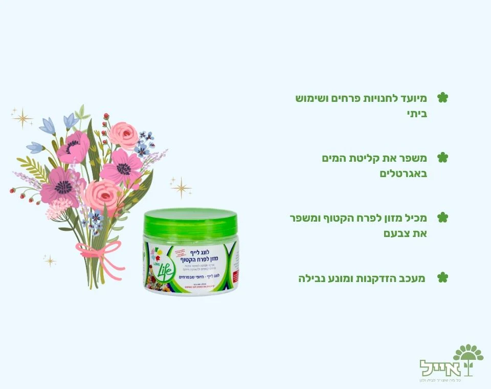 תמונה ממוזערת 2