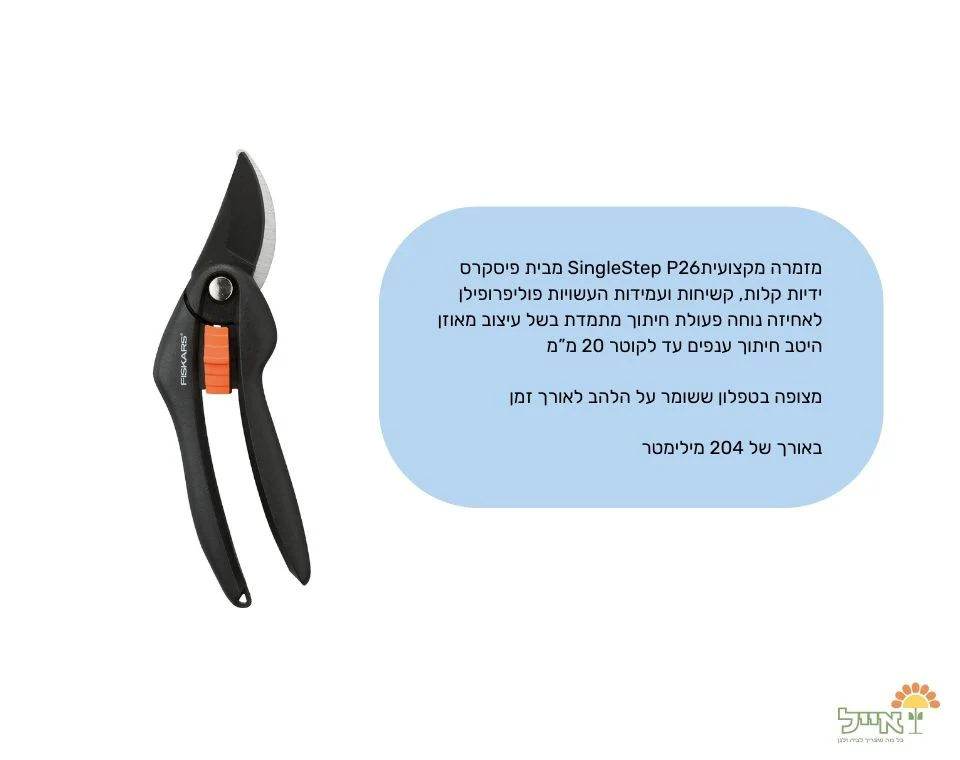 תמונה ממוזערת 2