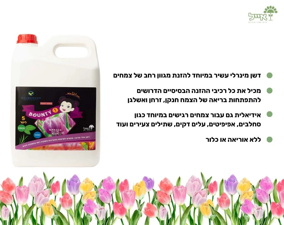 תמונה ממוזערת 2