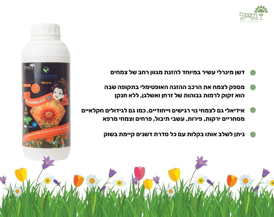 תמונה ממוזערת 2