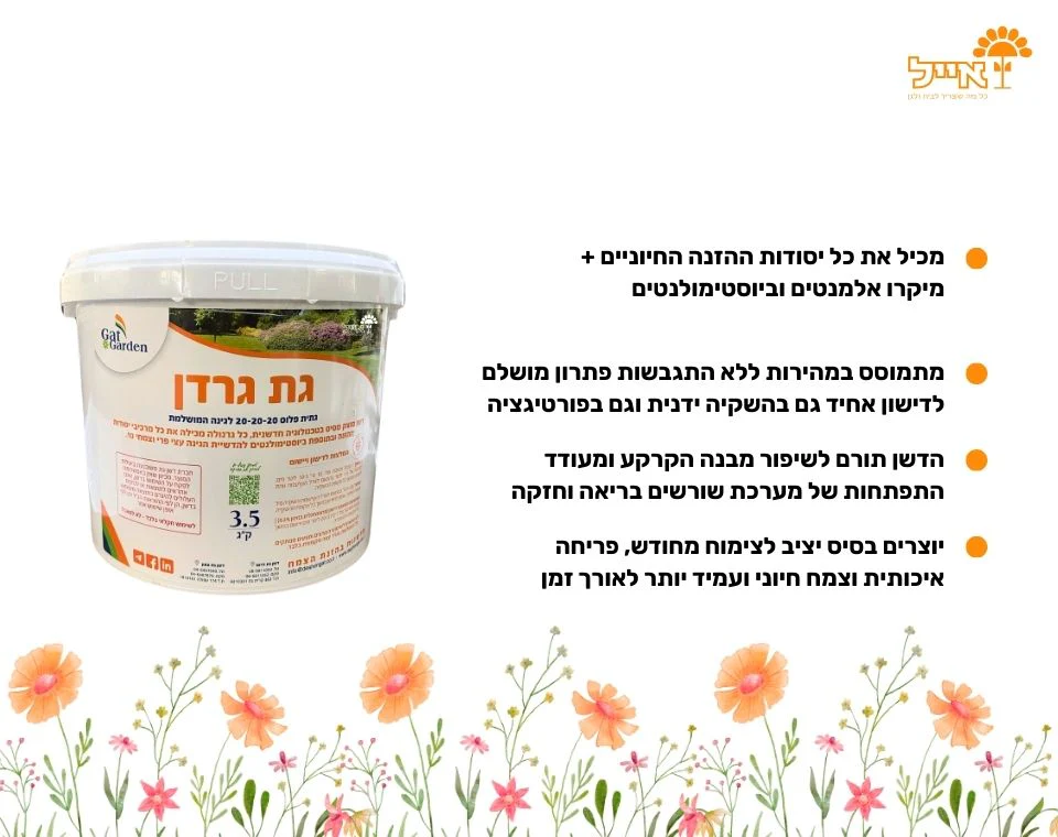 תמונה ממוזערת 2