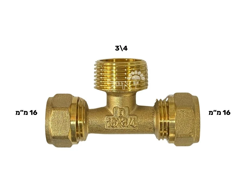 תמונה ממוזערת 2