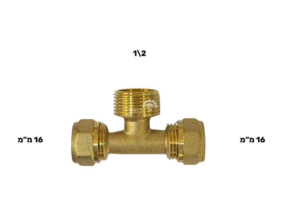 תמונה ממוזערת 2