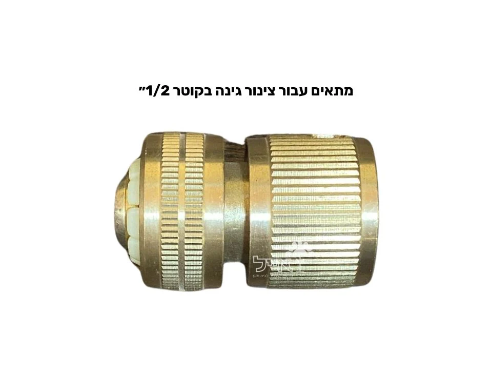 תמונה ממוזערת 2