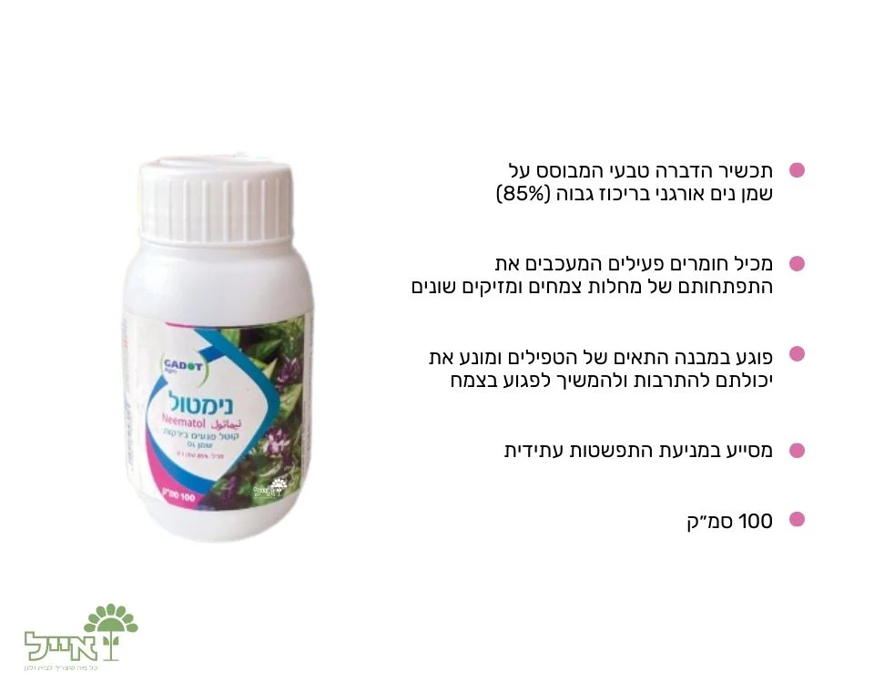 תמונה ממוזערת 2